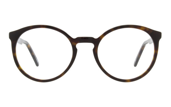 Andy Wolf Frame 4566 Col. B Acetate Brown