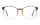 Andy Wolf Frame 5067 Col. 22 Acetate Brown