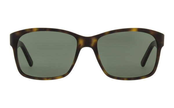 Andy Wolf André Sun Col. 02 Acetate Brown