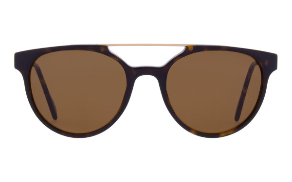 Andy Wolf Christian Sun Col. 02 Metal/Acetate Brown