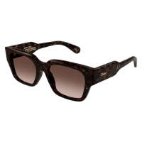 Chloé Frau International HAVANNA RECYCLED ACETATE...