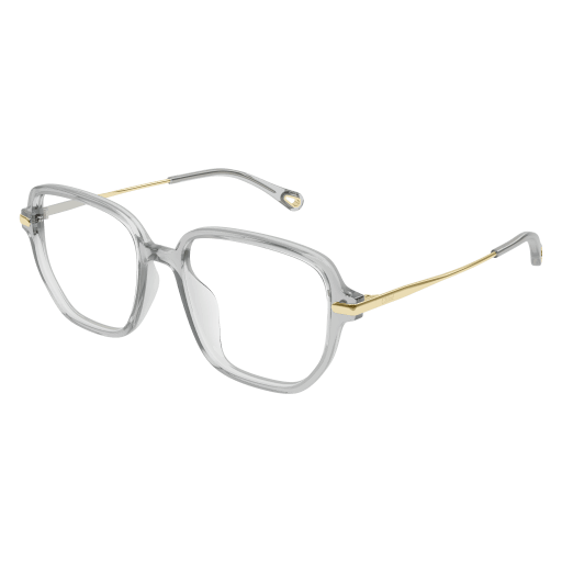 Chloé Frau Asian Fitting GRAU RECYCLED ACETATE CH0218OA Italien