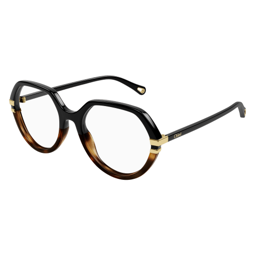 Chloé Frau International SCHWARZ RECYCLED ACETATE CH0206O Italien