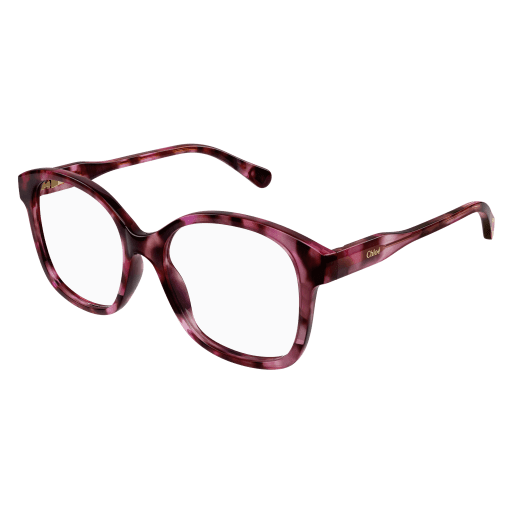 Chloé Kinder International HAVANNA RECYCLED ACETATE CC0013O China