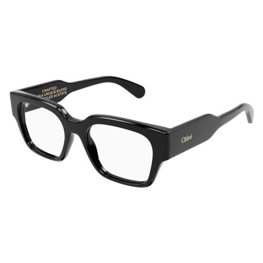 Chloé Frau International SCHWARZ RECYCLED ACETATE CH0150O Italien