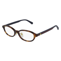 Gucci Frau Japan HAVANNA RECYCLED ACETATE GG0930OJ Japan