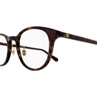 Gucci Frau Japan HAVANNA RECYCLED ACETATE GG1474OJ Italien