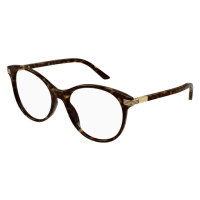 Gucci Frau International HAVANNA RECYCLED ACETATE GG1450O...