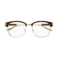 Gucci Mann Korean HAVANNA RECYCLED ACETATE GG1439OK Japan