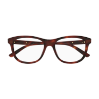 Gucci Mann International HAVANNA RECYCLED ACETATE GG1292O Japan