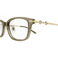 Gucci Frau Japan BRAUN RECYCLED ACETATE GG1129OJ Japan