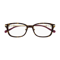 Gucci Frau Japan HAVANNA RECYCLED ACETATE GG1129OJ Japan