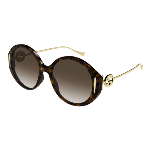 Gucci Frau Korean HAVANNA ACETAT GG1202SK Japan