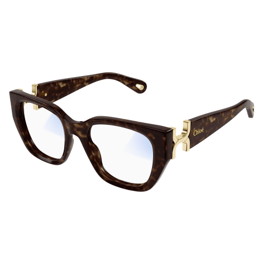 Chloé Frau International HAVANNA RECYCLED ACETATE CH0238S Japan