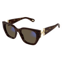 Chloé Frau International HAVANNA RECYCLED ACETATE CH0238S Japan