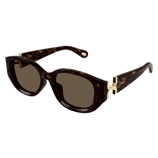 Chloé Frau Korean HAVANNA RECYCLED ACETATE CH0237SK Japan