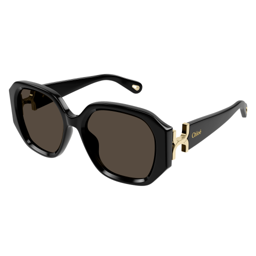 Chloé Frau Asian Smart Fitting SCHWARZ RECYCLED ACETATE CH0236S Japan