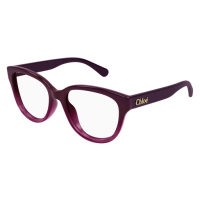 Chloé Frau International BURGUND RECYCLED ACETATE...