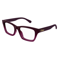 Chloé Frau International BURGUND RECYCLED ACETATE...