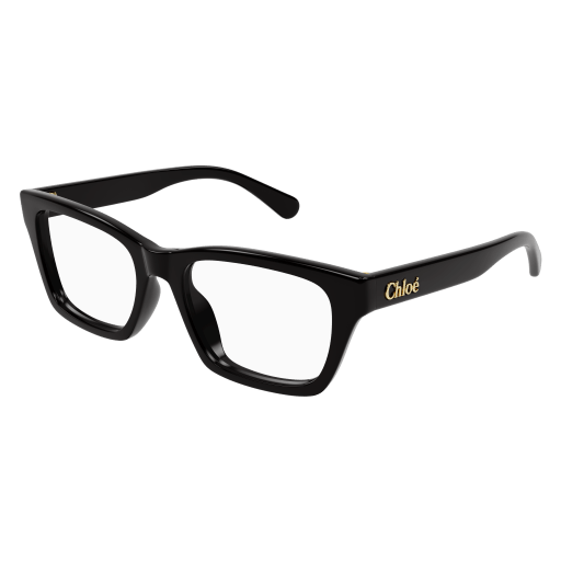 Chloé Frau International SCHWARZ RECYCLED ACETATE CH0242O Italien