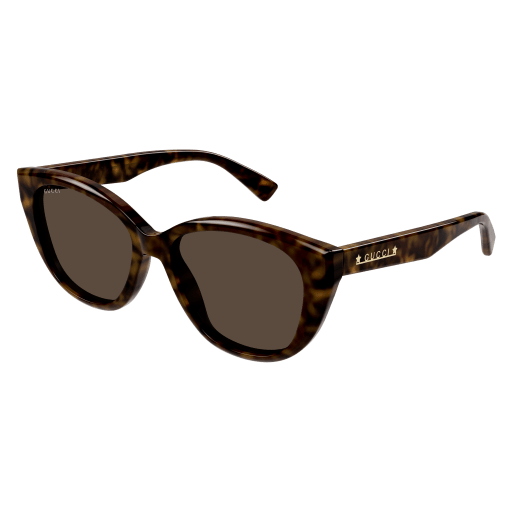 Gucci Frau International HAVANNA RECYCLED ACETATE GG1588S Italien