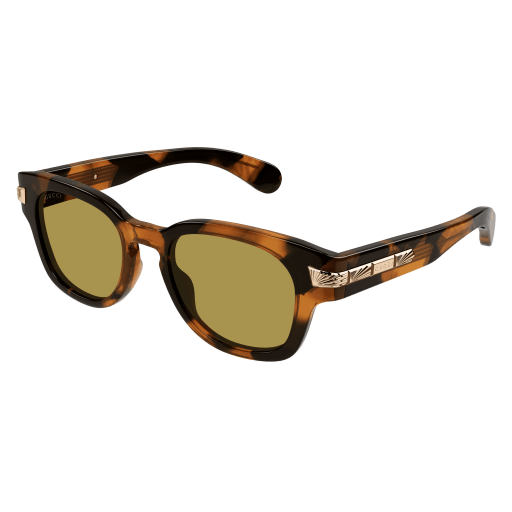 Gucci Mann International HAVANNA RECYCLED ACETATE GG1518S Japan