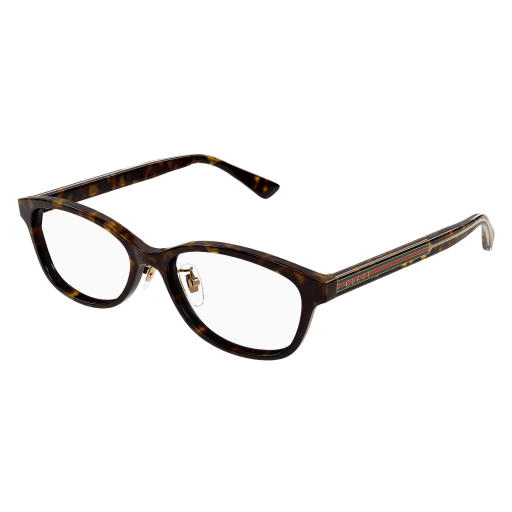 Gucci Unisex Japan HAVANNA RECYCLED ACETATE GG1612OJ Japan