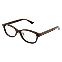 Gucci Unisex Japan HAVANNA RECYCLED ACETATE GG1612OJ Japan