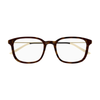 Gucci Mann International HAVANNA RECYCLED ACETATE GG1577O...