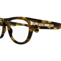 Gucci Mann International HAVANNA RECYCLED ACETATE GG1519O Japan