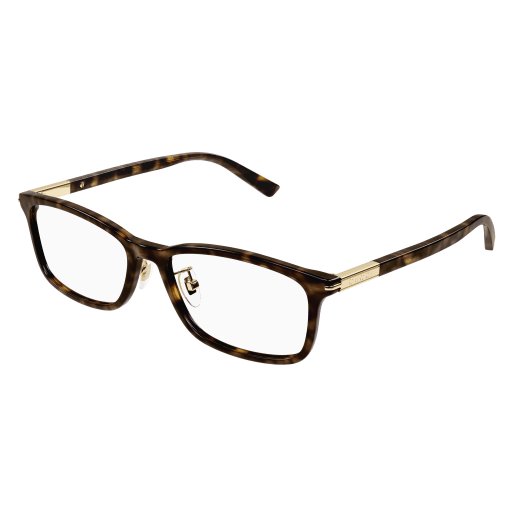 Gucci Frau Japan HAVANNA RECYCLED ACETATE GG1506OJ Italien