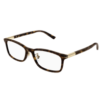 Gucci Frau Japan HAVANNA RECYCLED ACETATE GG1506OJ Italien