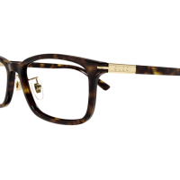 Gucci Frau Japan HAVANNA RECYCLED ACETATE GG1506OJ Italien