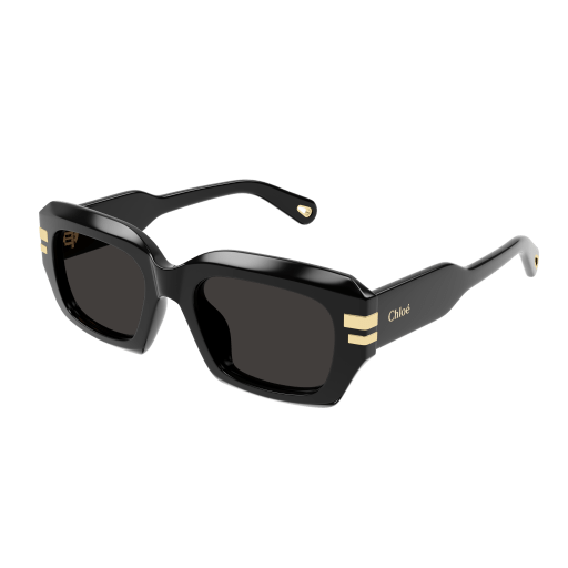 Chloé Frau International SCHWARZ RECYCLED ACETATE CH0256S Italien