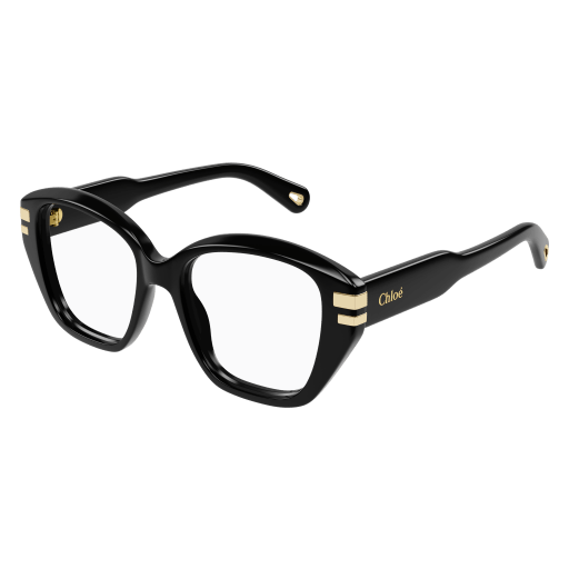 Chloé Frau International SCHWARZ RECYCLED ACETATE CH0267O Italien