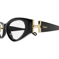 Chloé Frau International SCHWARZ RECYCLED ACETATE CH0273O Japan