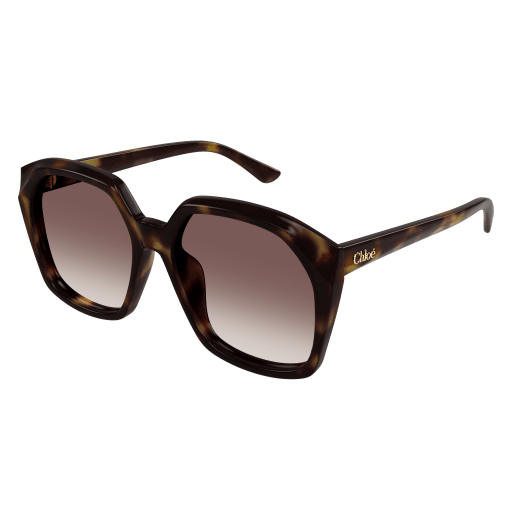 Chloé Frau International HAVANNA RECYCLED ACETATE CH0280S Italien