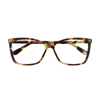 Gucci Frau International HAVANNA RECYCLED ACETATE GG0025O...