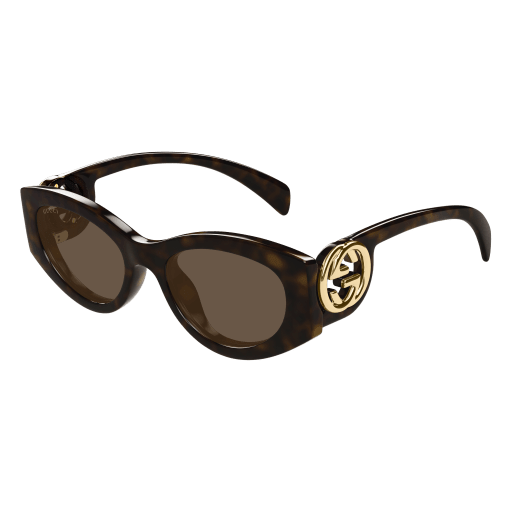 Gucci Frau Asian Smart Fitting HAVANNA SPRITZGUSS GG1691S Japan