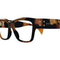 Gucci Frau International HAVANNA RECYCLED ACETATE GG1705O Japan