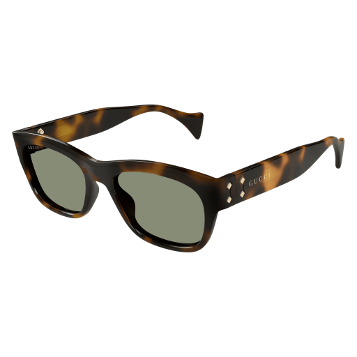 Gucci Mann International HAVANNA RECYCLED ACETATE GG1706S Japan