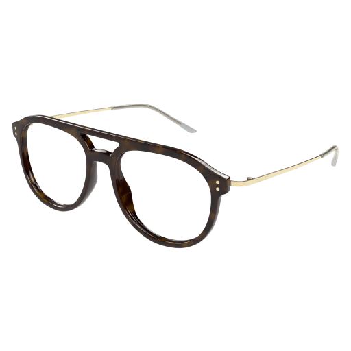 Gucci Mann International HAVANNA RECYCLED ACETATE GG1708O Japan