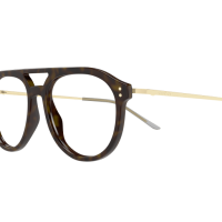 Gucci Mann International HAVANNA RECYCLED ACETATE GG1708O Japan