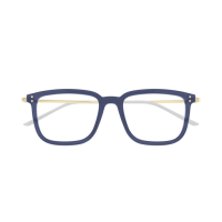 Gucci Mann International BLAU RECYCLED ACETATE GG1709O Japan