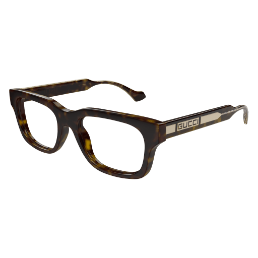 Gucci Mann International HAVANNA RECYCLED ACETATE GG1731O Japan