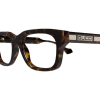 Gucci Mann International HAVANNA RECYCLED ACETATE GG1731O Japan