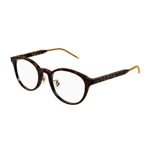 Gucci Unisex Japan HAVANNA ACETAT GG1229OJ Japan